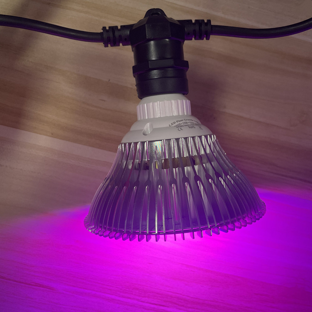 10 メートルケーブル LED ストリング商用グレード防水  - Lighting Wedding Outdoor のレビューと価格